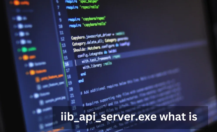 iib_api_server.exe what is